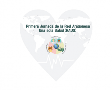 jornada raus 