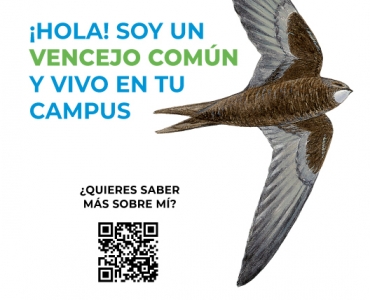 Cartel divulgativo de la campaña sobre las aves en los campus públicos de Aragón 