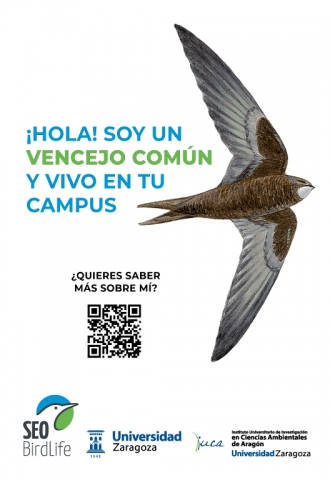 Cartel divulgativo de la campaña sobre las aves en los campus públicos de Aragón 